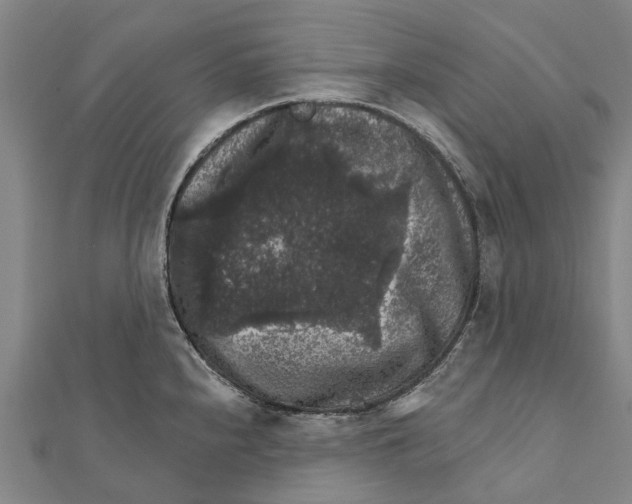 X0000111581240200908131312