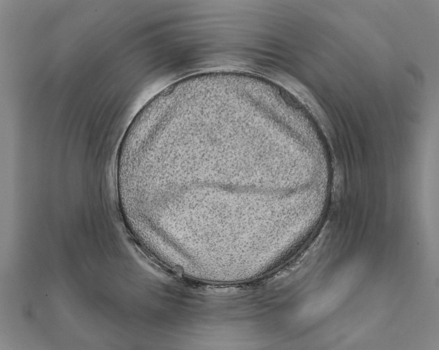 X0000111581242200908131312