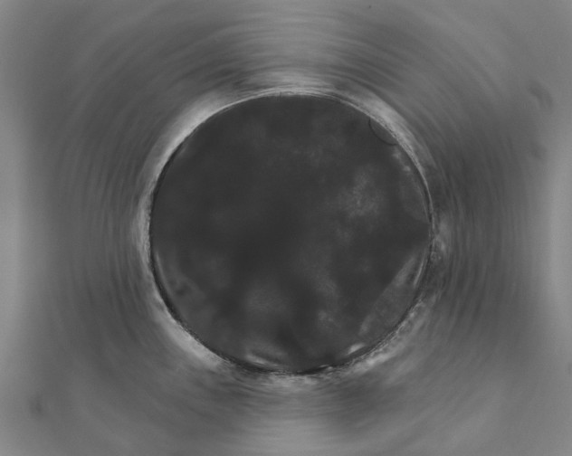 X0000111581243200908131312