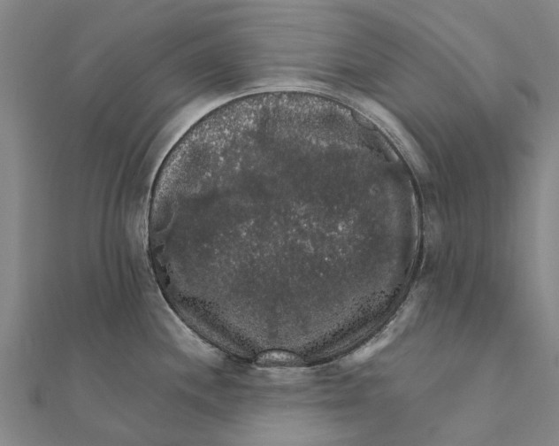 X0000111581244200908131312