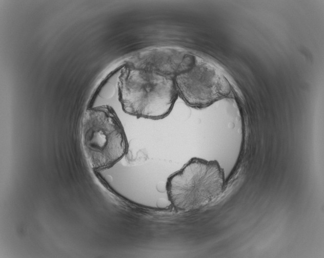 X0000111581245200908131312