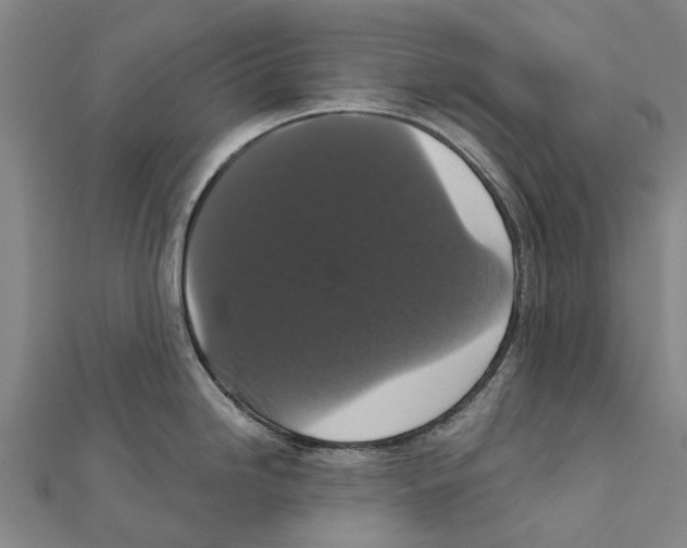 X0000111581246200908131312