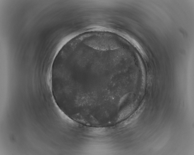 X0000111581247200908131312