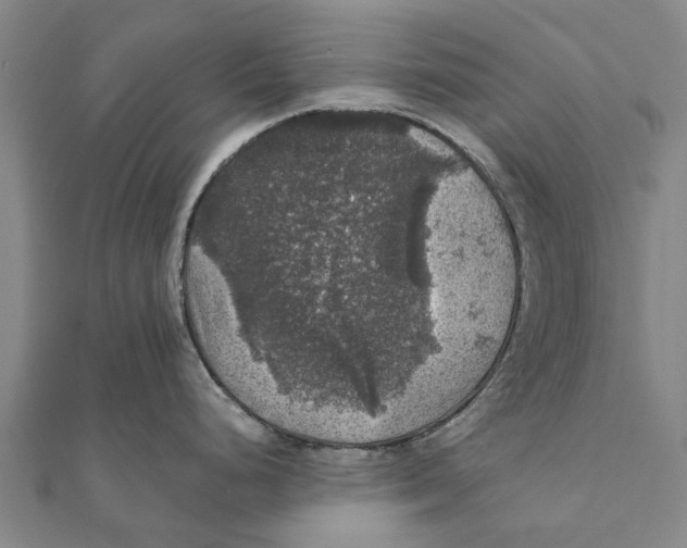 X0000111581248200908131312