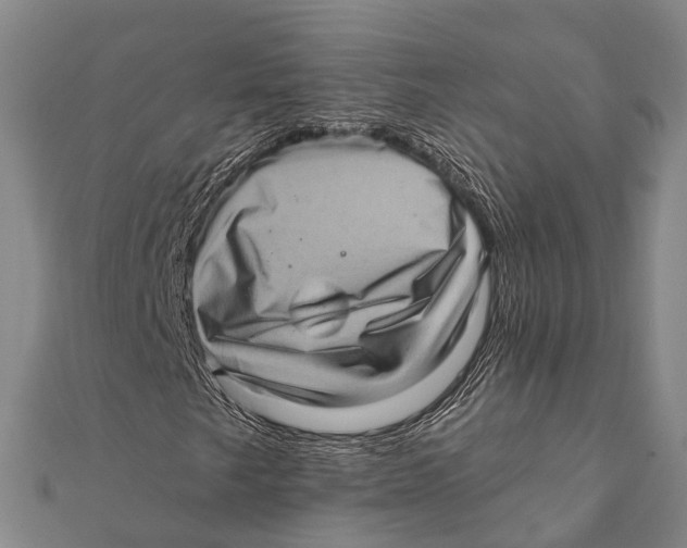 X0000111581249200908131311