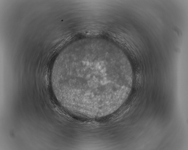 X0000111581250200908131311