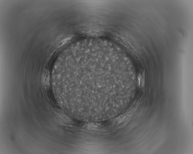 X0000111581251200908131311