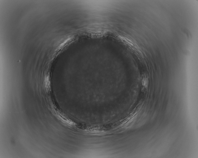 X0000111581252200908131311