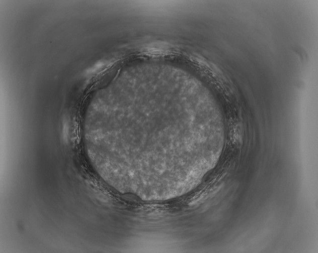 X0000111581253200908131311