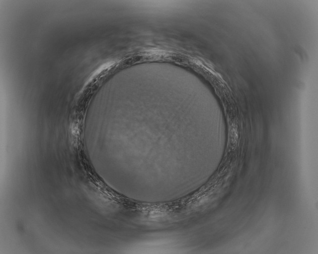 X0000111581254200908131311