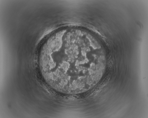 X0000111581255200908131311