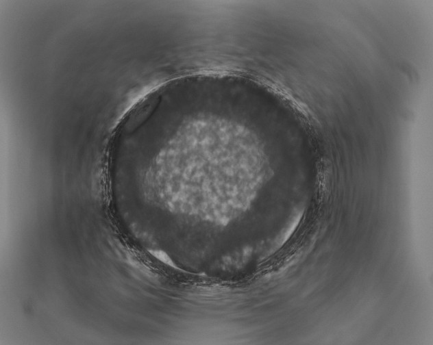 X0000111581256200908131311