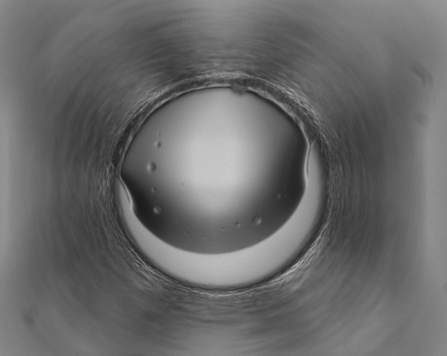 X0000111581257200908131311