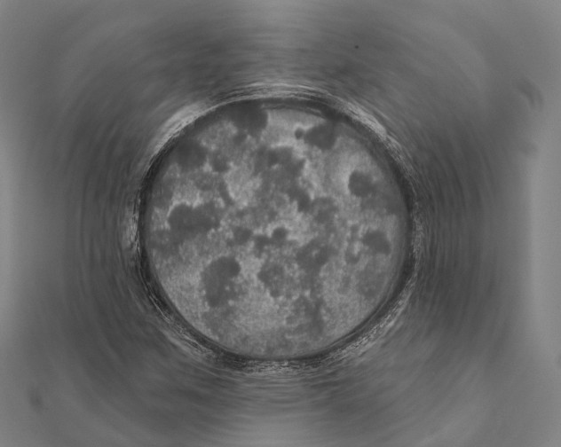 X0000111581259200908131311