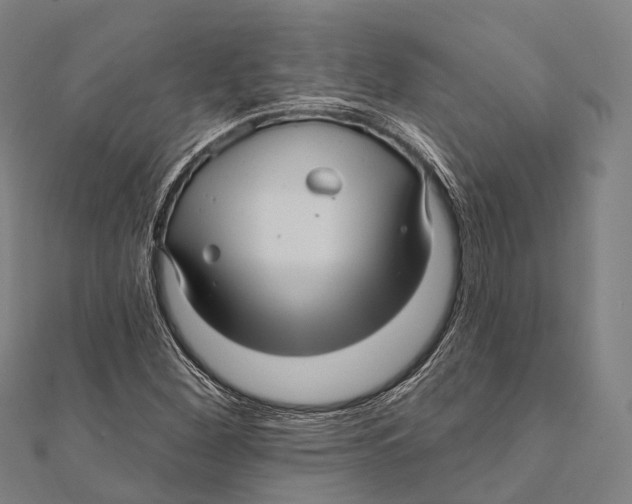 X0000111581260200908131311