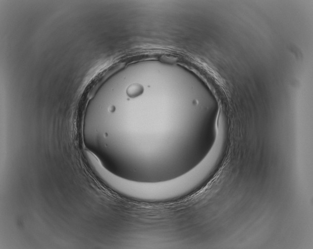 X0000111581261200908131311