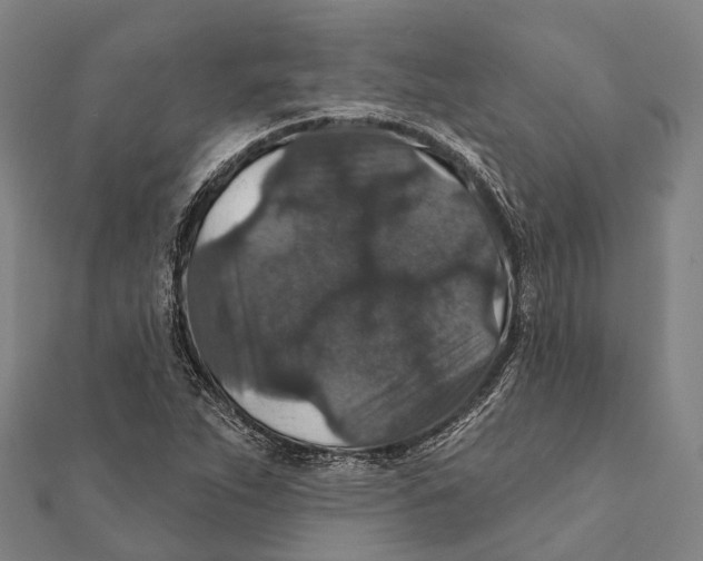 X0000111581263200908131311