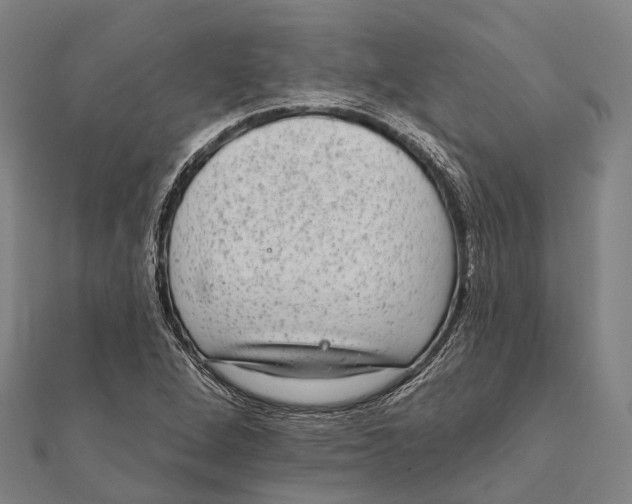 X0000111581264200908131311