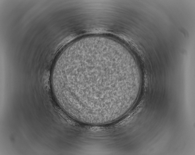 X0000111581265200908131311