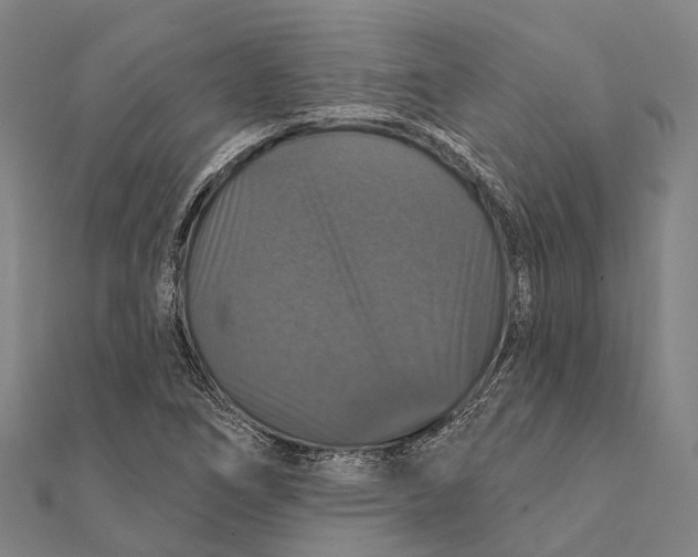 X0000111581266200908131311