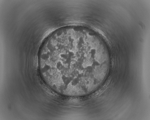 X0000111581267200908131311