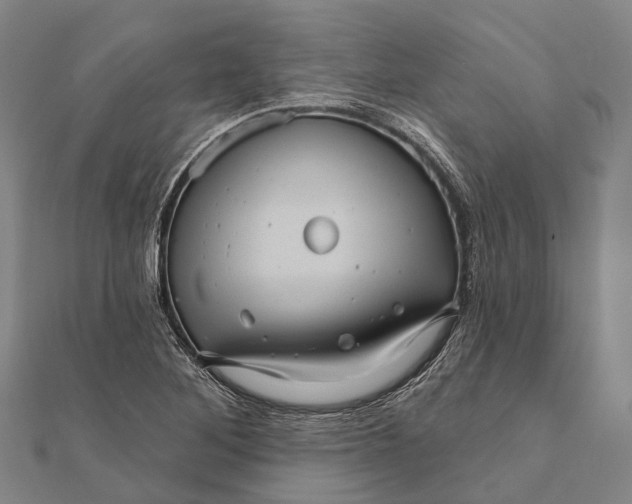 X0000111581268200908131311