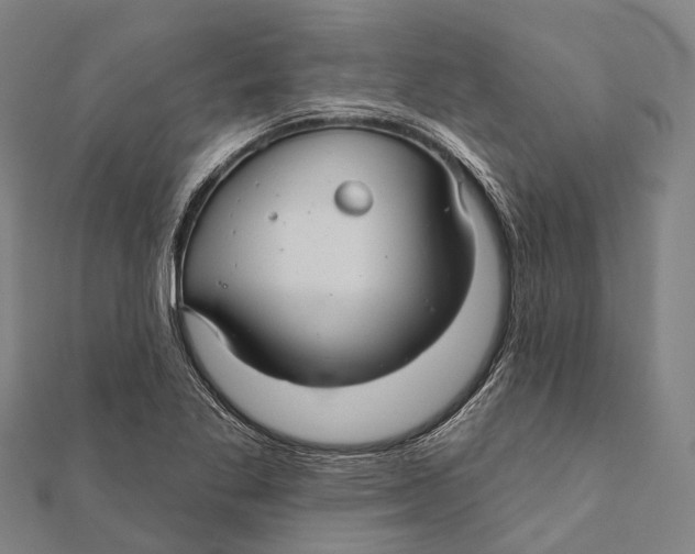 X0000111581269200908131311