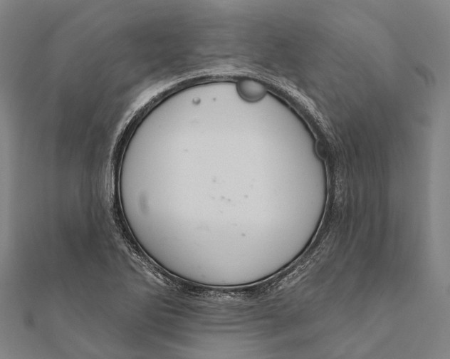 X0000111581270200908131311