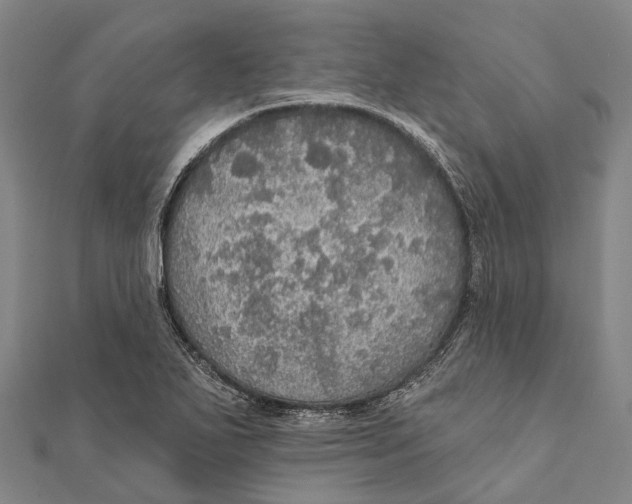 X0000111581271200908131311