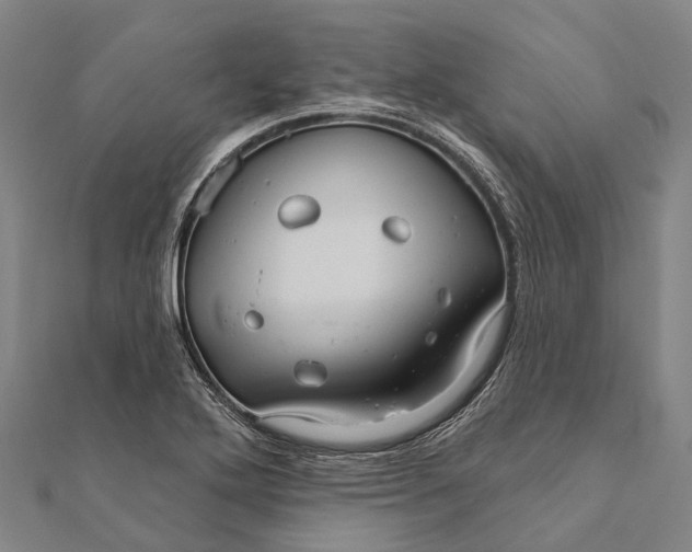 X0000111581272200908131311