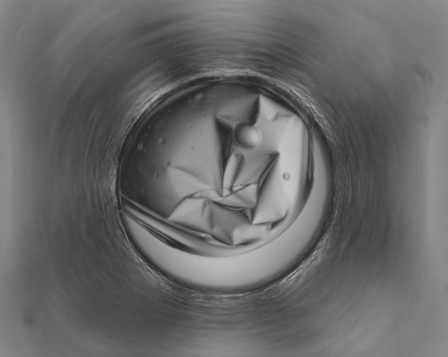 X0000111581273200908131311