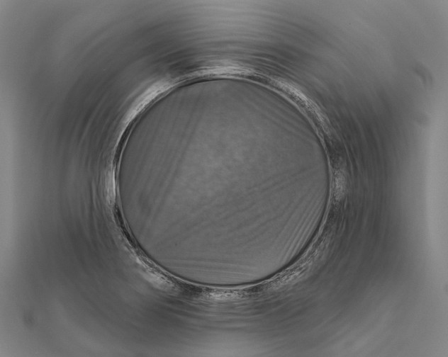 X0000111581274200908131311