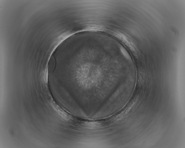 X0000111581276200908131311