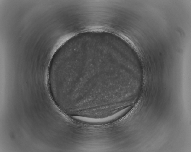 X0000111581277200908131311