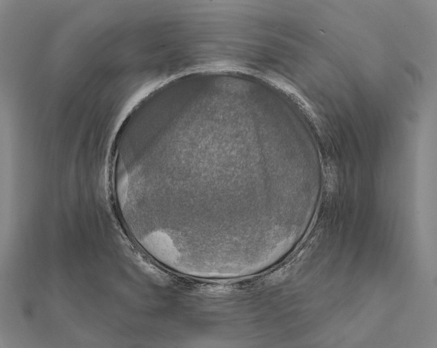 X0000111581278200908131311