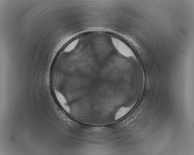 X0000111581279200908131311