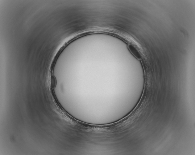 X0000111581280200908131311