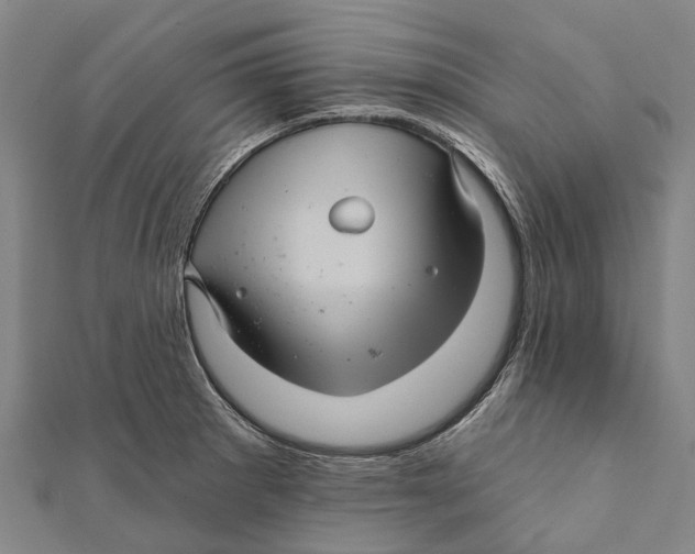 X0000111581281200908131311