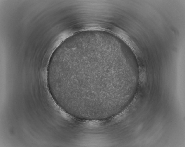 X0000111581282200908131311