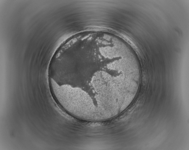 X0000111581283200908131311