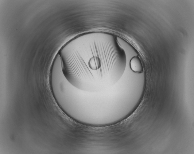 X0000111581284200908131311