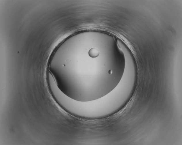 X0000111581285200908131311