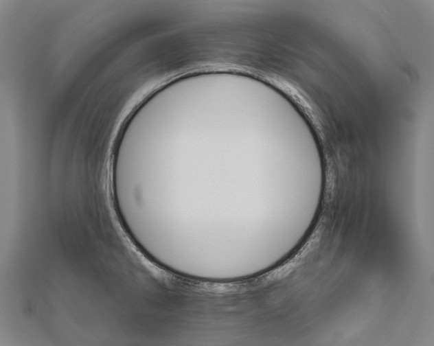 X0000111581286200908131311