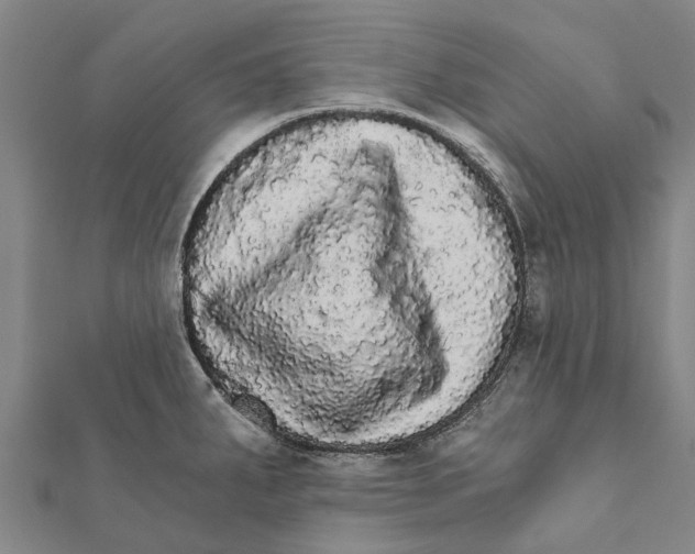 X0000111581287200908131311