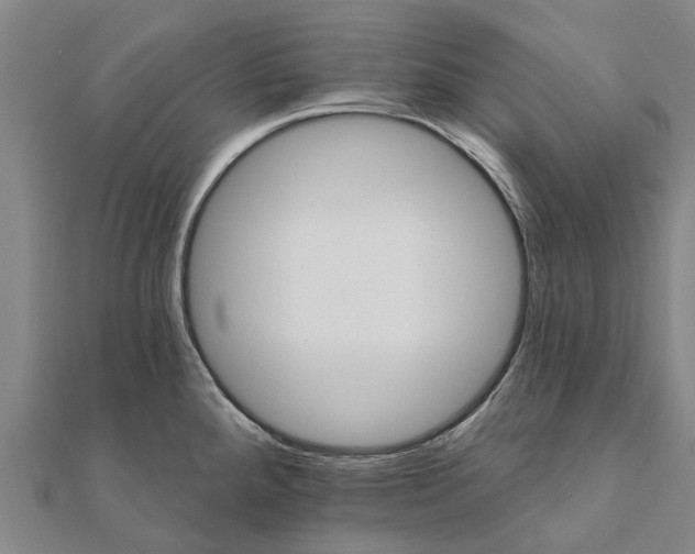 X0000111581288200908131311