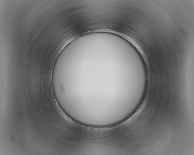 X0000111581289200908131311