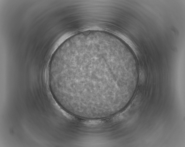 X0000111581290200908131311