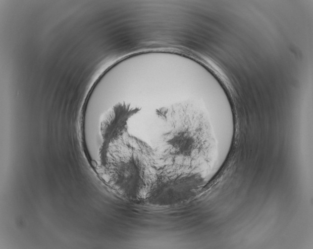 X0000111581291200908131311