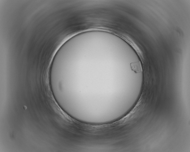 X0000111581292200908131311