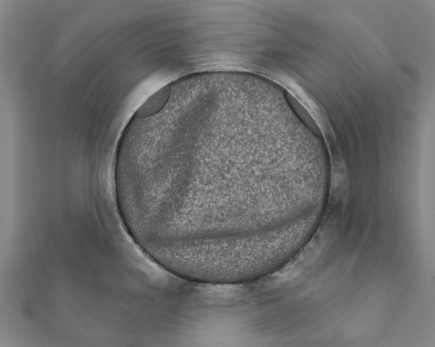 X0000111581293200908131311